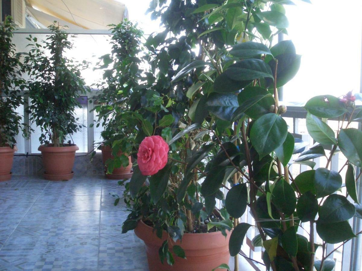 Athens Penthouse Cosy Apartment Exterior photo